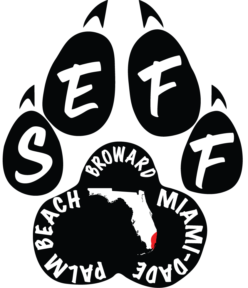 South East Florida Furs